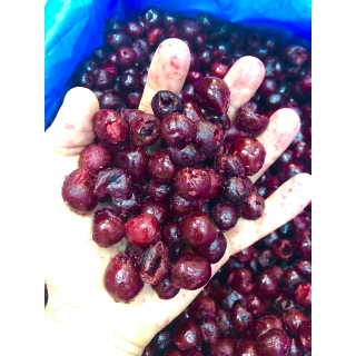 Замороженная вишня без косточки от производителя из Узбекистана купить оптом по привлекательной цене Замороженная вишня без косточки от производителя из Узбекистана купить оптом по привлекательной цене